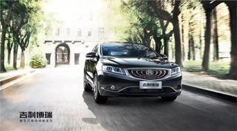 博瑞 老帶新 友聚會活動火熱進行中